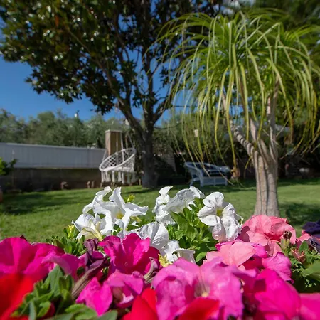 Apartment Le Jardin